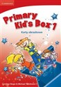 Primary Kid's Box Level 1 Flashcards Polish