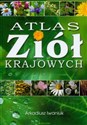 Atlas ziół krajowych