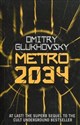 Metro 2034