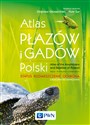 Atlas płazów i gadów Polski Status – rozmieszczenie – ochrona z kluczami do oznaczania - Zbigniew Głowaciński, Piotr Sura