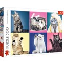 Puzzle 500 Kociaki - 