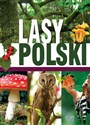 Lasy Polski