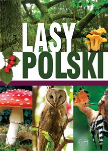 Lasy Polski