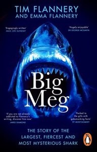 Big Meg  - Księgarnia Niemcy (DE)