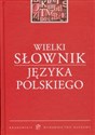 Wielki słownik języka polskiego - Ewa Dereń, Edward Polański