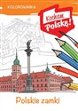 Kolorowanka Polskie zamki - Krzysztof Kiełbasiński