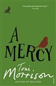 Toni Morrison - Mercy