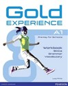 Gold Experience A1 Skills, Grammar, Vocabulary WB 