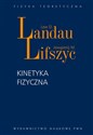 Kinetyka fizyczna - Jewgienij M. Lifszyc, Lew P. Pitajewski