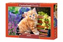 Puzzle Ginger Kitten 500 - 