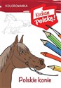 Kolorowanka Polskie konie