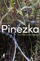 Pinezka Historie z granicy polsko-białoruskiej - Urszula Glensk