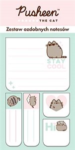 Zestaw 5 notesów ozdobnych Pusheen 