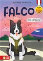 Falco Pies lotniskowy