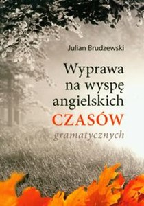 Wyprawa na wyspę angielskich czasów gramatycznych - Księgarnia Niemcy (DE)