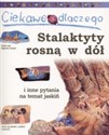 Ciekawe dlaczego stalaktyty rosną w dół i inne pytania na temat jaskiń