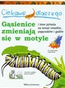 Ciekawe dlaczego gąsienice zmieniają się w motyle i inne pytania na temat owadów, pajęczaków i gadów