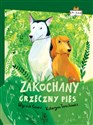 Zakochany grzeczny pies