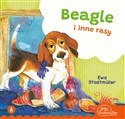 Beagle i inne rasy - Stadtmüller Ewa
