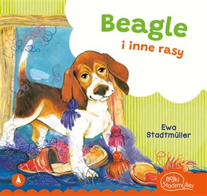 Beagle i inne rasy