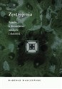 Zestrojenia Szkice o literaturze, muzyce i dobroci - Bartosz Małczyński