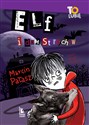 Elf i dom strachów - Marcin Pałasz