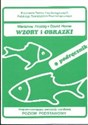 Wzory i obrazki Program rozwijający percepcje wzrokową podręcznik poziom podstawowy