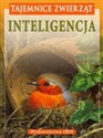 Tajemnice zwierząt  Inteligencja - Bernard Stonehouse, Esther Bertram