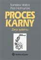 Proces karny Zarys systemu