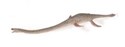 Elasmosaurus - 