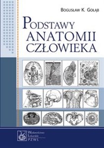 Podstawy anatomii człowieka Podręcznik dla studentów