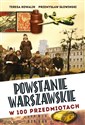 Powstanie Warszawskie w 100 przedmiotach  - Przemysław Słowiński, Teresa Kowalik