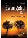 Ewangelia 2018