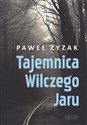 Tajemnica Wilczego Jaru - Paweł Zyzak