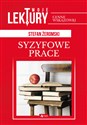 Syzyfowe prace