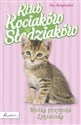 Klub Kociaków Słodziaków Wielka przygoda Zygzaczka - Sue Mongredien
