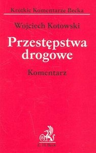 Przestępstwa drogowe komentarz