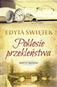 Pokłosie przekleństwa Wielkie Litery - Edyta Świętek