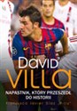 David Villa Napastnik który przeszedł do historii