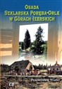 Osada Szklarska Poręba-Orle w Górach Izerskich - Przemysław Wiater