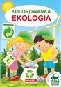 Kolorowanka Ekologia