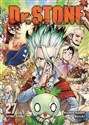 Dr Stone. Tom 27 