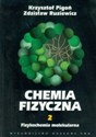 Chemia fizyczna Tom 2 - Krzysztof Pigoń, Zdzisław Ruziewicz