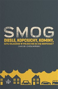 SMOG Diesle, kopciuchy, kominy, czyli dlaczego w Polsce nie da się oddychać?