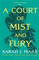 A Court of Mist and Fury  - Sarah J. Maas