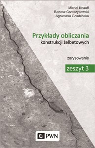 Przykłady obliczania konstrukcji żelbetowych Zeszyt 3