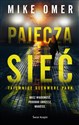 Pajęcza sieć