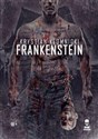 Frankenstein  - Krystian Kłomnicki