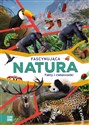 Fascynująca natura Fakty i ciekawostki