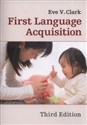 First Language Acquisition